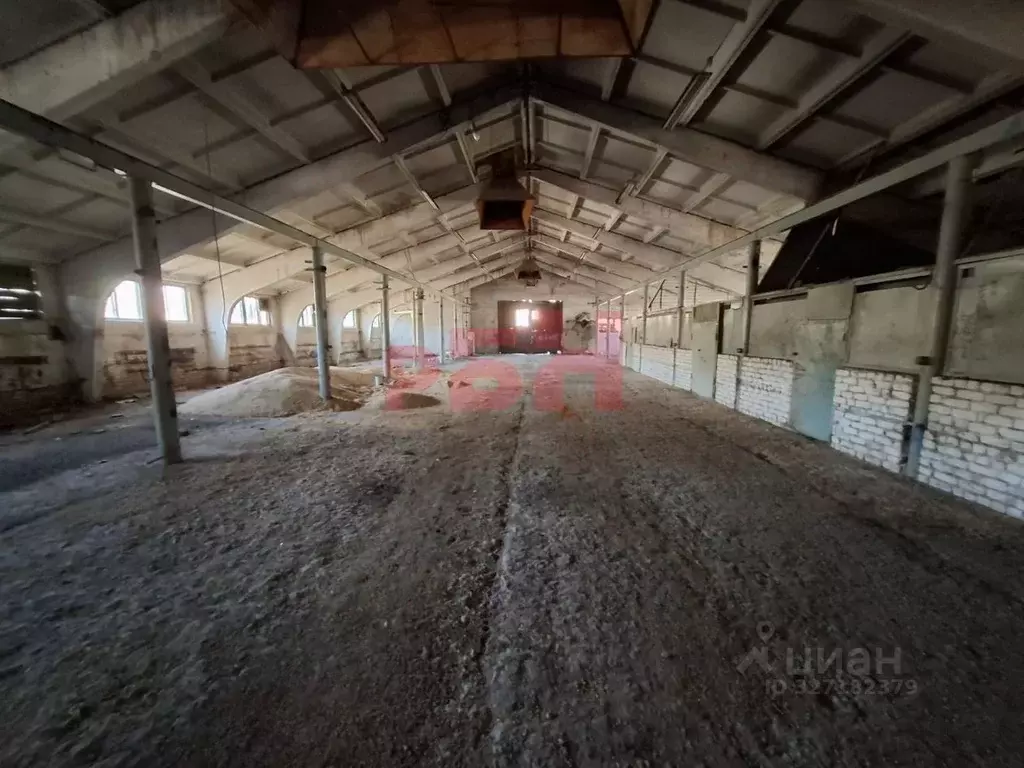 Производственное помещение в Самарская область, Кинель-Черкасский ... - Фото 2