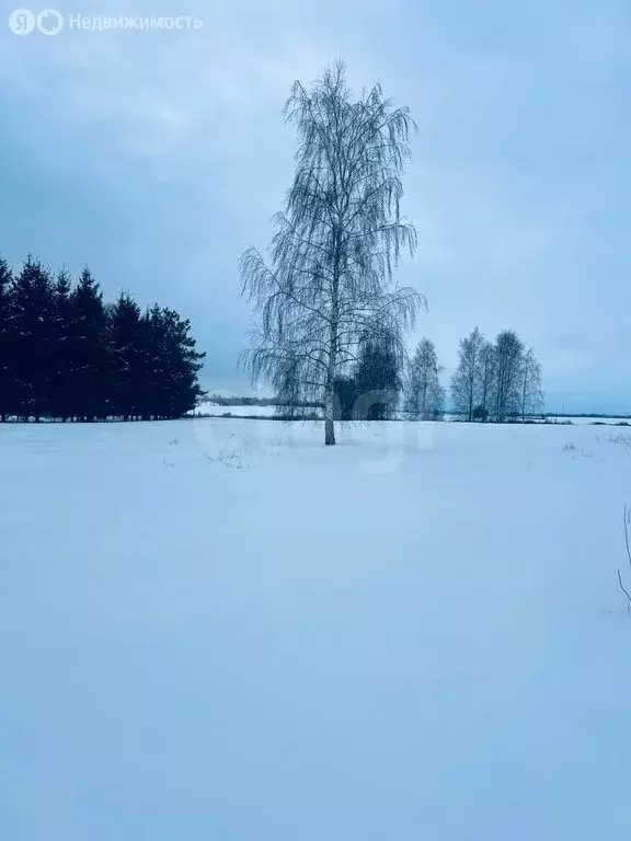 Участок в Калининградская область, Гвардейский муниципальный округ, ... - Фото 1