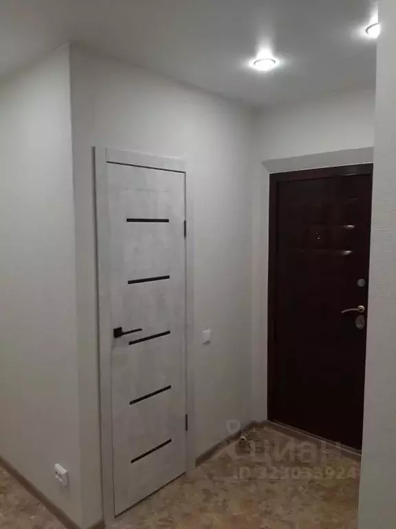 Студия Красноярский край, Красноярск Ботаническая ул., 1а (18.8 м) - Фото 2