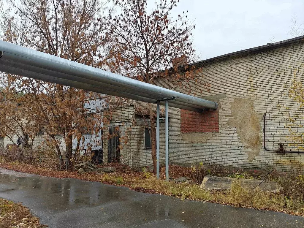 Помещение свободного назначения (212.1 м) - Фото 1
