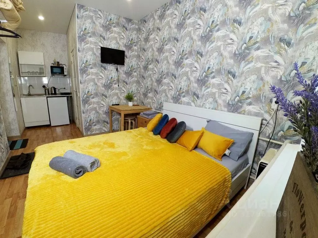 1-к кв. Татарстан, Казань Ипподромная ул., 29 (19.0 м) - Фото 0