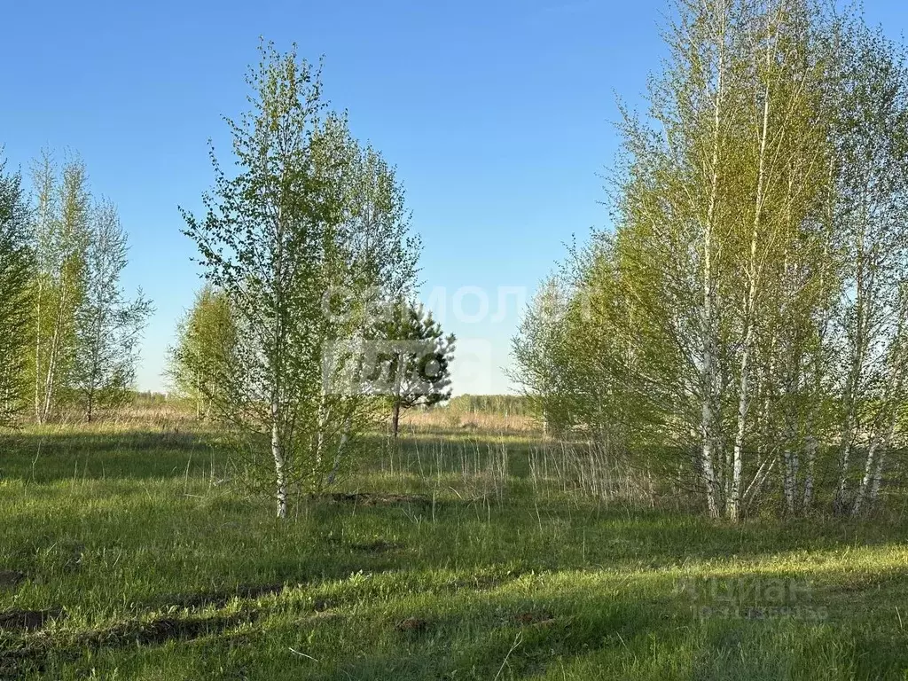 Участок в Челябинская область, Сосновский район, Кременкульское с/пос, ... - Фото 0