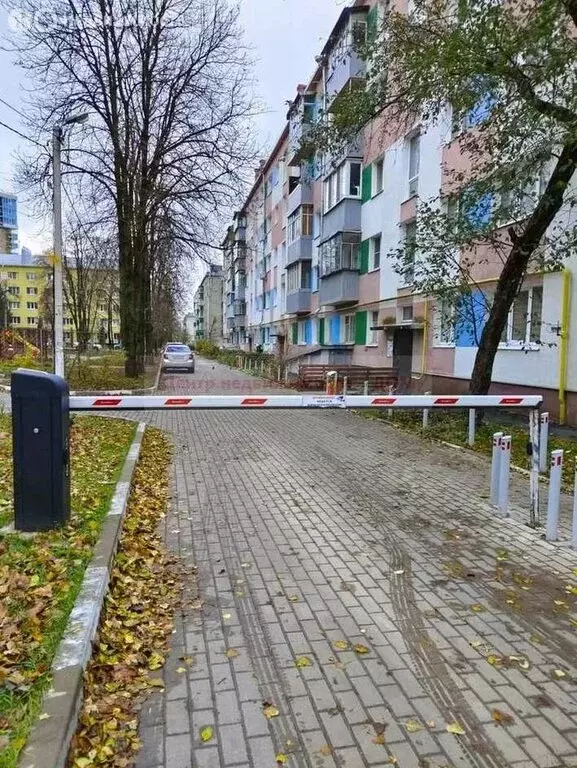 1-комнатная квартира: Белгород, улица Маяковского, 26 (31.8 м) - Фото 1