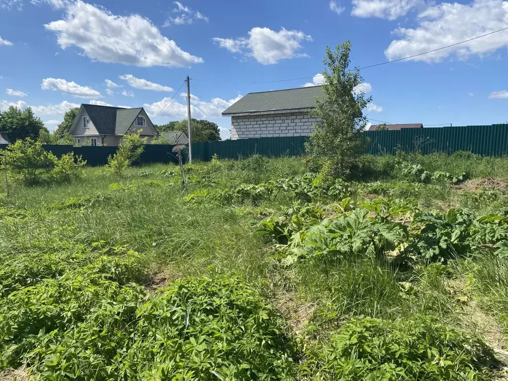 Участок в Московская область, Пушкинский городской округ, д. Никулино  ... - Фото 2