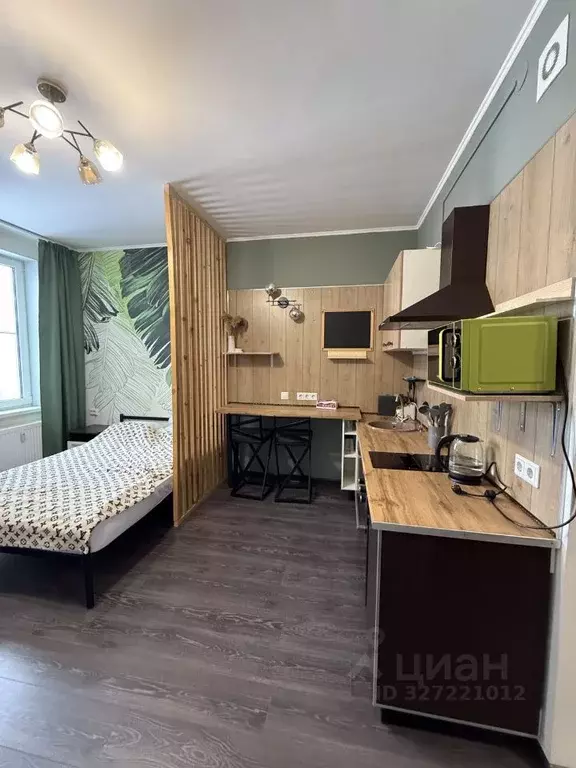 Студия Санкт-Петербург аллея Арцеуловская, 21 (24.0 м) - Фото 1