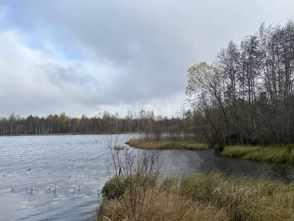 Участок в Вологодская область, Белозерский муниципальный округ, д. ... - Фото 0