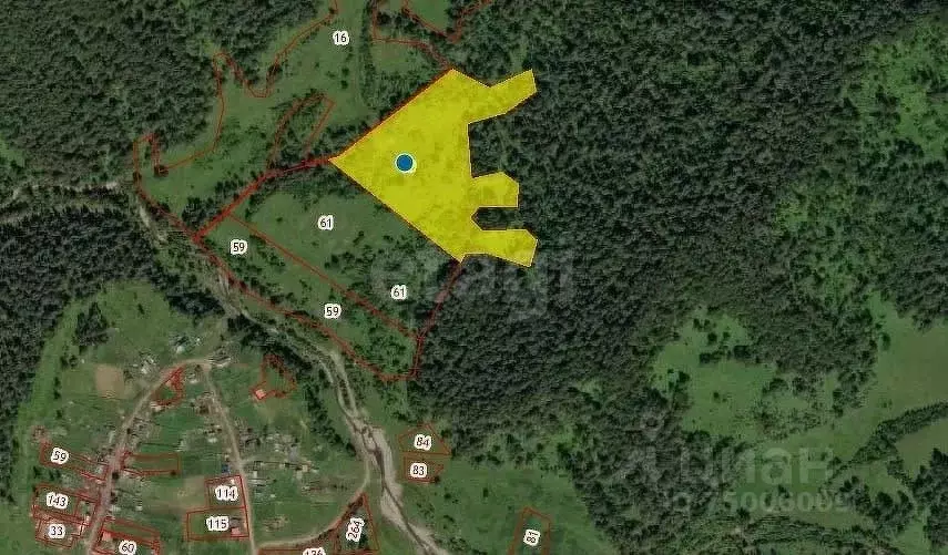 Участок в Алтай, Турочакский район, с. Старый Кебезень Совхозная ул. ... - Фото 1