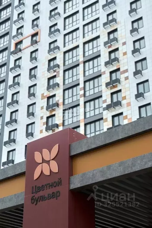 1-к кв. Брянская область, Брянский район, Снежское с/пос, пос. Путевка ... - Фото 1