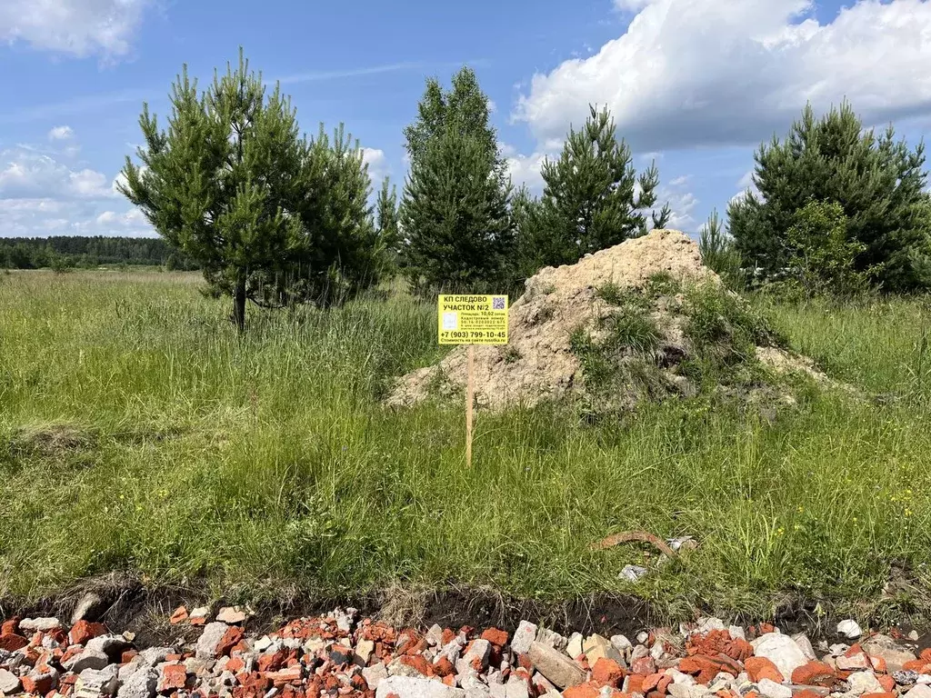 Участок в Московская область, Богородский городской округ, Следово кп ... - Фото 2