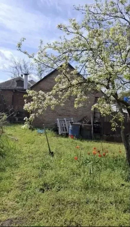 Участок в Ростовская область, Батайск ул. Половинко, 120 (9.21 сот.) - Фото 1
