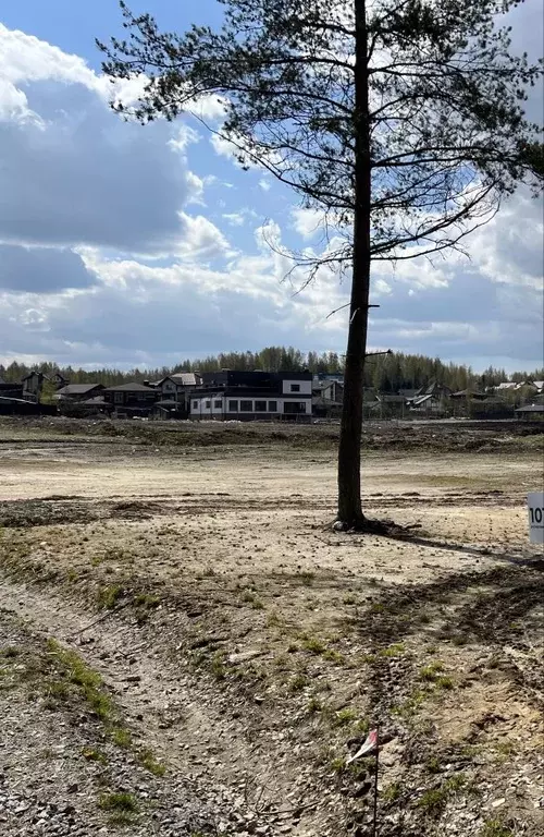 Участок в Ленинградская область, Всеволожский район, Бугровское ... - Фото 1