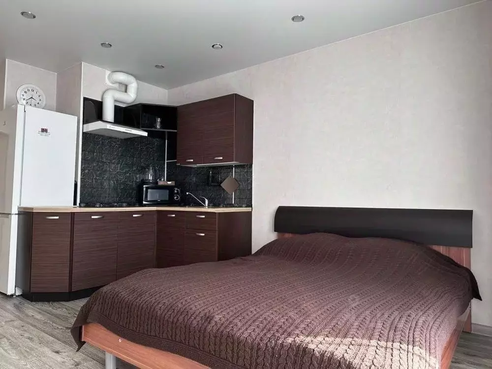 Студия Иркутская область, Иркутск ул. 4-я Железнодорожная, 25 (30.0 м) - Фото 2