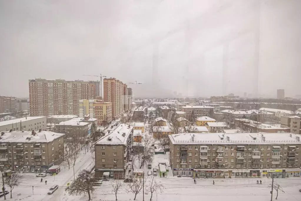 2-к кв. Новосибирская область, Новосибирск ул. Дуси Ковальчук, 242 ... - Фото 1