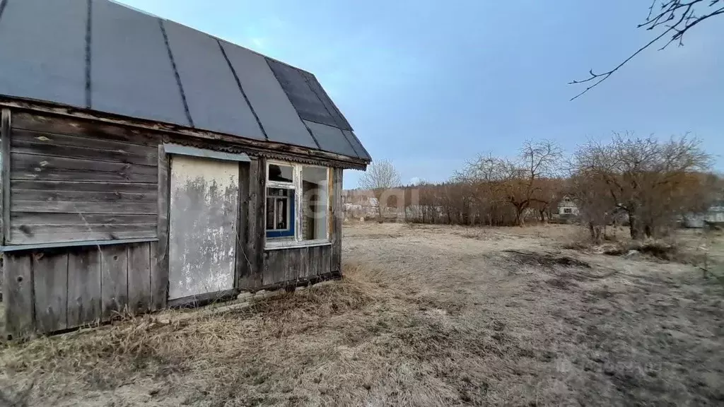 Участок в Владимирская область, Ковровский район, пос. Мелехово, ОАО ... - Фото 1