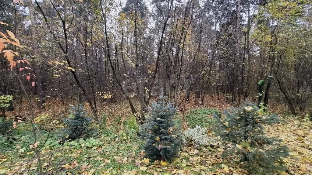 Участок в Московская область, Королев ул. Сосновый Бор (5.0 сот.) - Фото 1