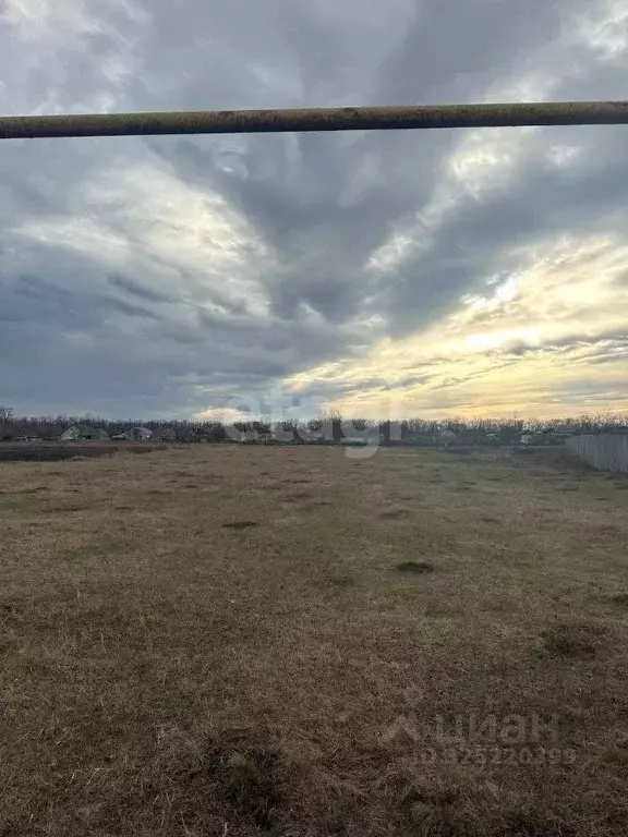 Участок в Воронежская область, Лискинский район, Ковалевское с/пос, с. ... - Фото 1