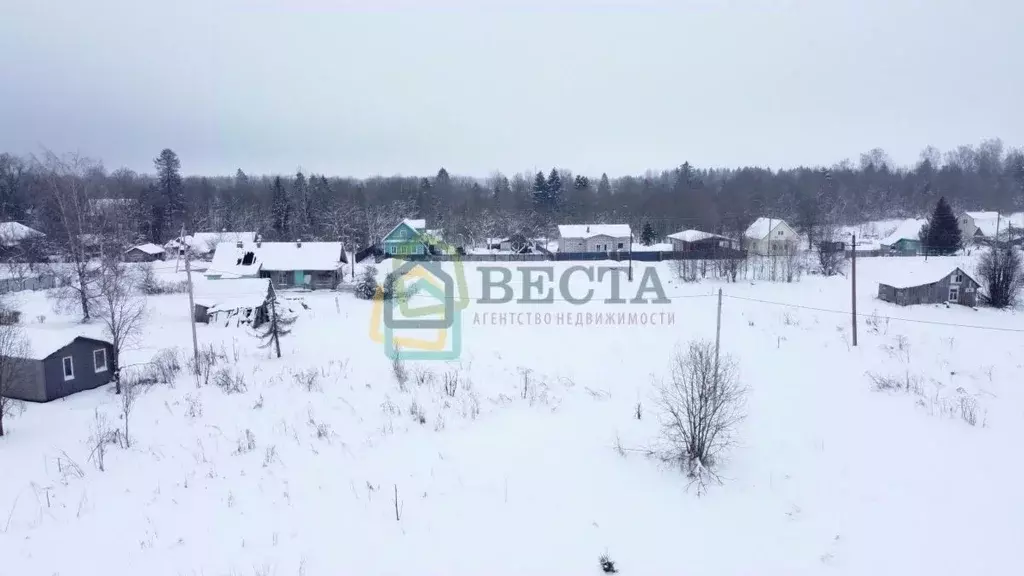 Участок в Ленинградская область, Ломоносовский район, Лопухинское ... - Фото 2