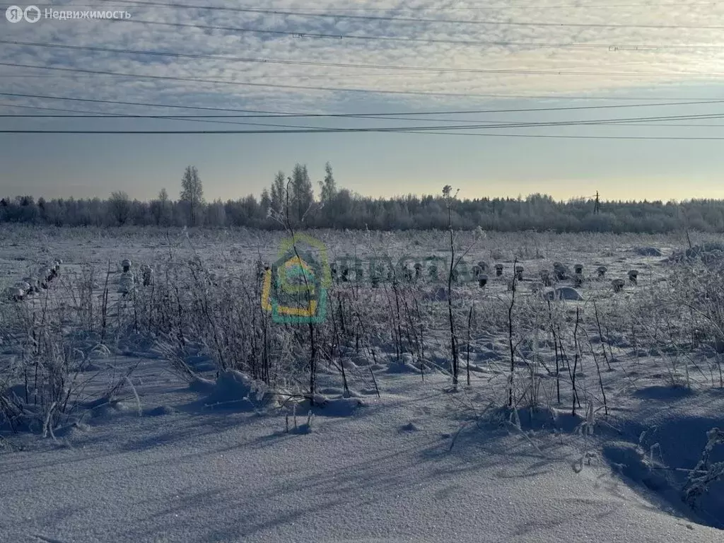 Участок в Виллозское городское поселение, КП Можайский парк (10.91 м) - Фото 1