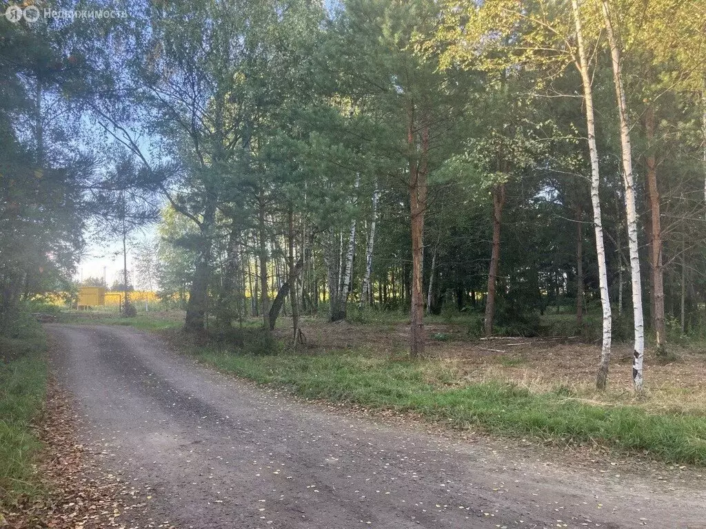 Участок в Московская область, городской округ Ступино, КП Хатунь ... - Фото 2