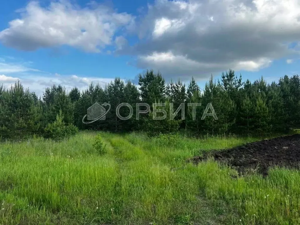 Участок в Свердловская область, Тугулым пгт  (12.5 сот.) - Фото 2