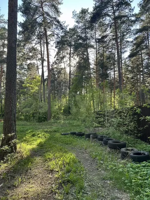 Участок 6 га (ИЖС) - Фото 0