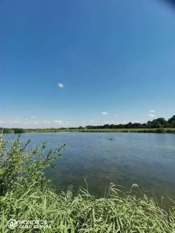 Коттедж в Башкортостан, Гафурийский район, Зилим-Карановский ... - Фото 1