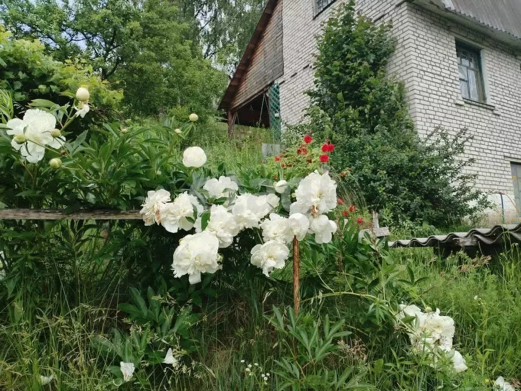 Дом в Брянская область, Брянский район, Мичуринское с/пос, Строитель ... - Фото 0