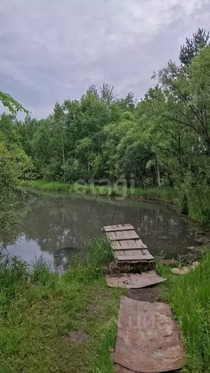 Участок в Амурская область, Благовещенск Маслобойного завода СТ,  (5.3 ... - Фото 0