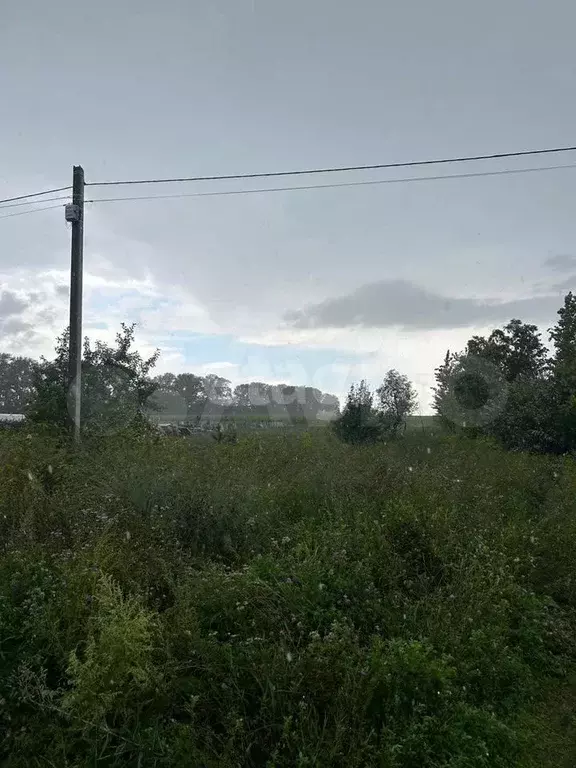 Участок 25 сот. (ИЖС) - Фото 1