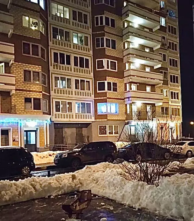 2-к кв. Московская область, Домодедово Южный мкр, ул. Курыжова, 26к1 ... - Фото 2