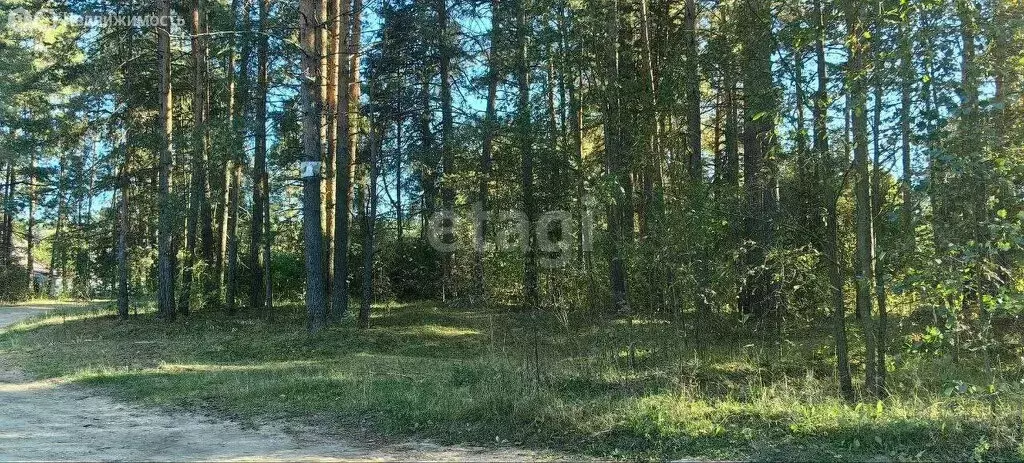 Участок в Тверская область, Калининский муниципальный округ, деревня ... - Фото 1