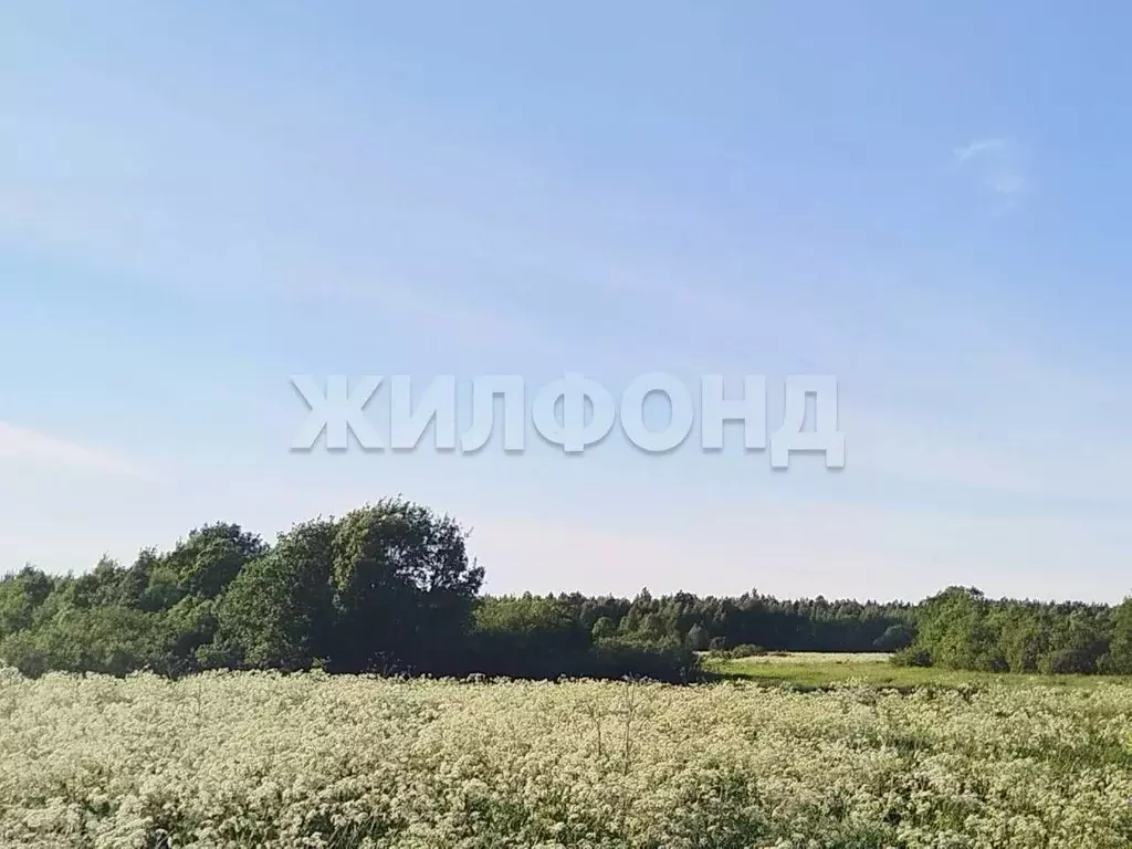 Участок в Архангельская область, Приморский муниципальный округ, д. ... - Фото 2