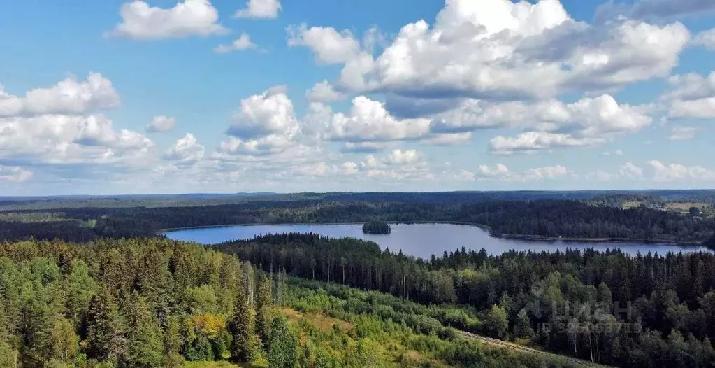 Участок в Карелия, Лахденпохский муниципальный округ, пос. ... - Фото 1
