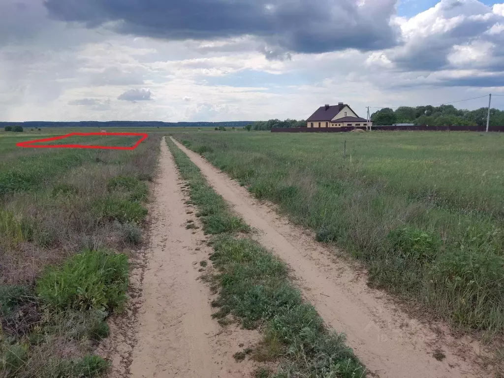 Участок в Калужская область, Дзержинский муниципальный округ, с. ... - Фото 2