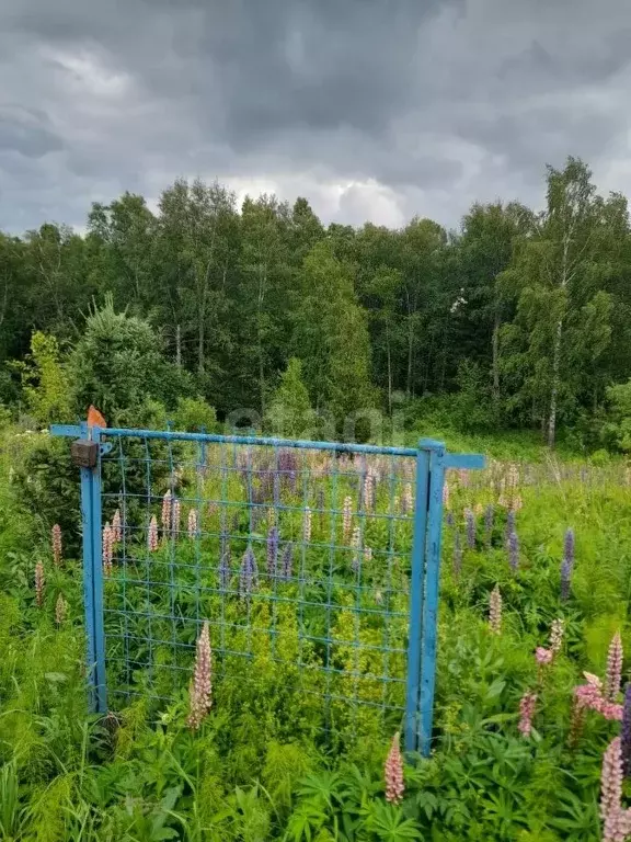 Участок в Томская область, Томский район, Чипполино СНТ  (8.0 сот.) - Фото 0