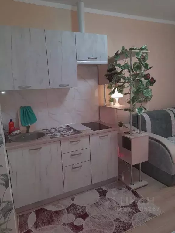 Студия Краснодарский край, Новороссийск Цемдолина тер., ул. Красина, ... - Фото 2