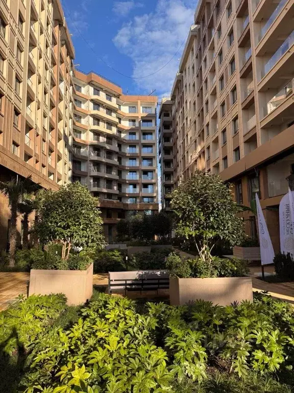 1-к кв. Краснодарский край, Сочи Адлер жилрайон, Курортный Городок ... - Фото 1