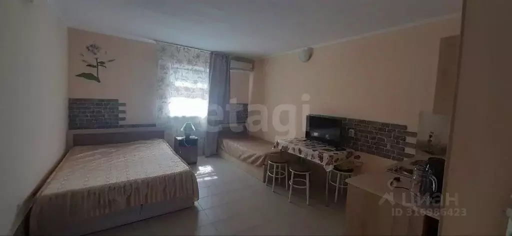 Студия Краснодарский край, Анапа проезд Межсанаторный, 29 (24.5 м) - Фото 0