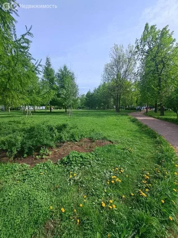 1к в 5-комнатной квартире (27 м) - Фото 2