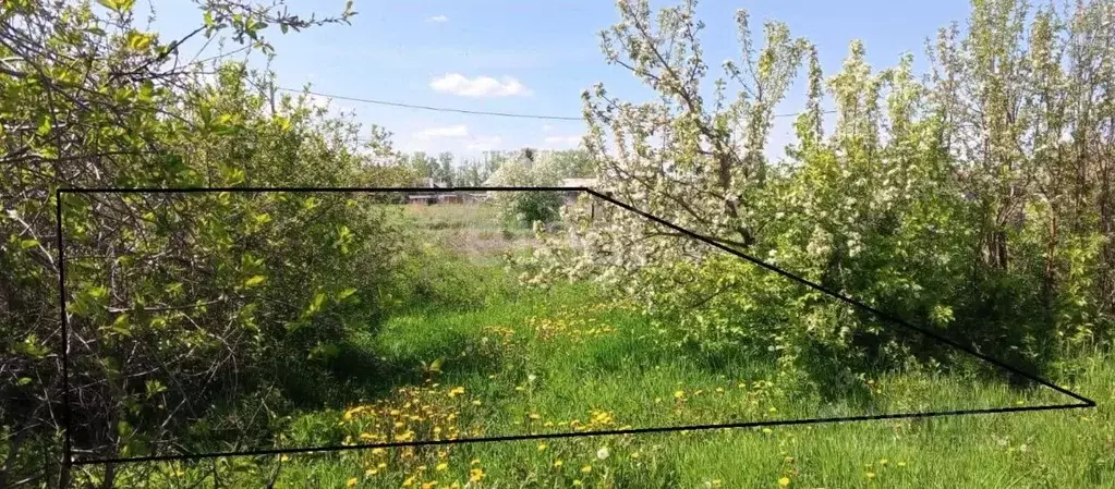 Участок в Омская область, Омский район, с. Пушкино ул. 40 лет Победы ... - Фото 1