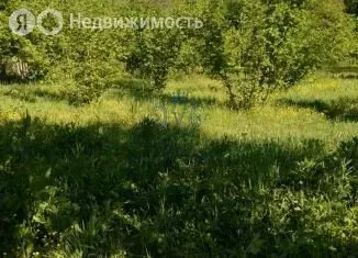 Участок в Краснодарский край, Туапсинский муниципальный округ, село ... - Фото 1