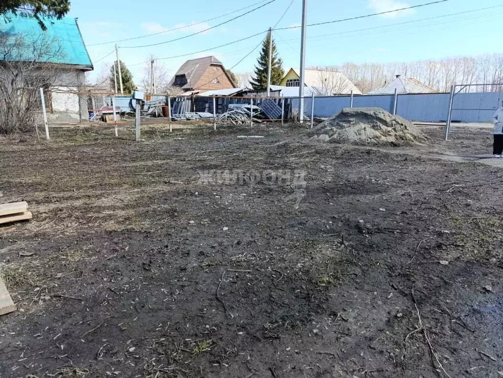 Участок в Новосибирская область, Новосибирский район, Станционный ... - Фото 1