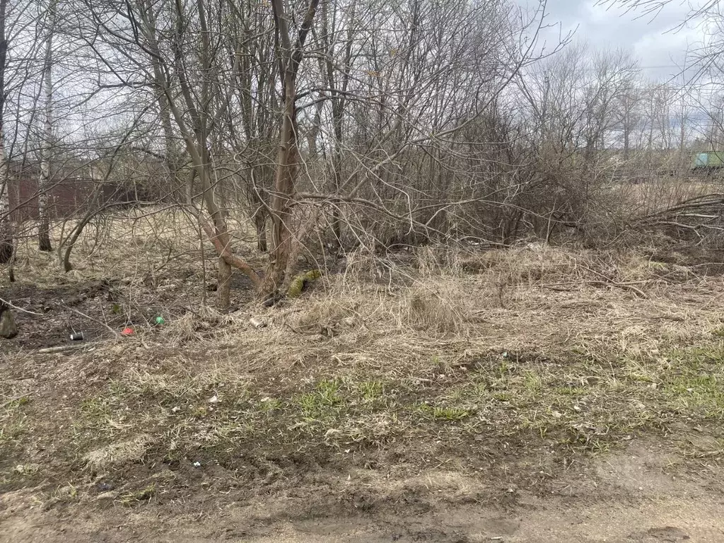 Участок в Московская область, Истра ул. Ленина, Река Истра (15.0 сот.) - Фото 2