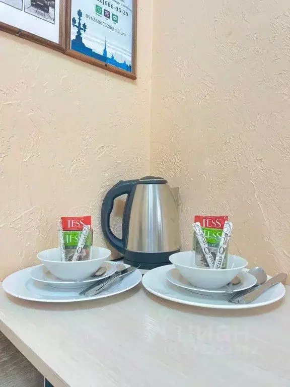 1-к кв. Санкт-Петербург Пушкинская ул., 9 (15.0 м) - Фото 1