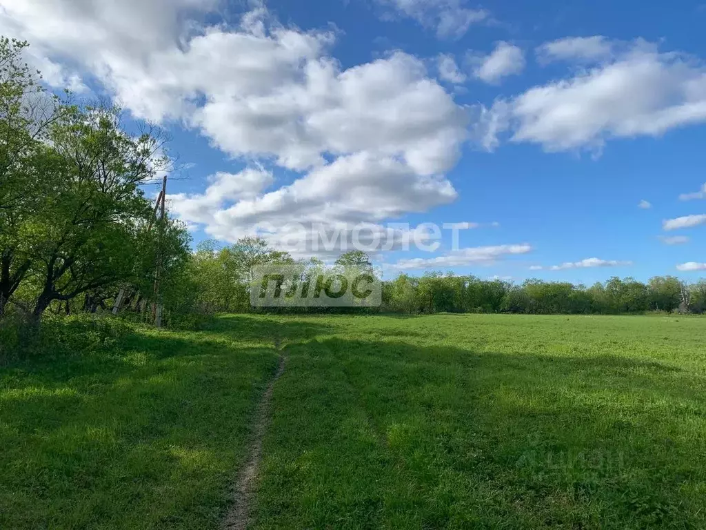 Участок в Сахалинская область, Анива Совхозная ул., 25 (10.0 сот.) - Фото 2