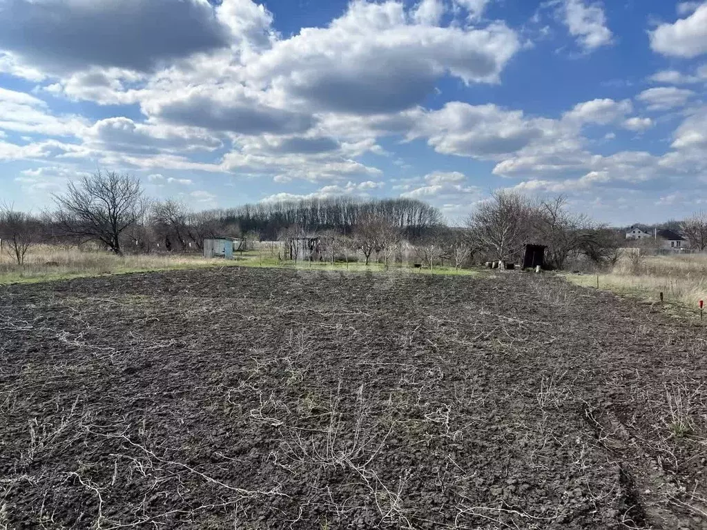 Участок в Белгородская область, Строитель Яковлевский городской округ, ... - Фото 1