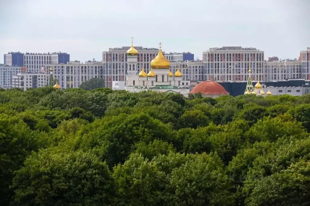Студия Санкт-Петербург Черниговская ул., 17 (24.6 м) - Фото 1