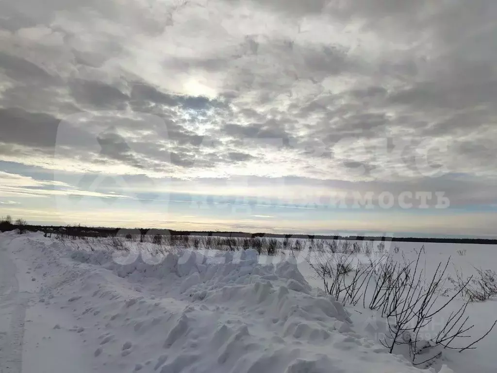 Участок в Тюменская область, Нижнетавдинский муниципальный округ, ... - Фото 2