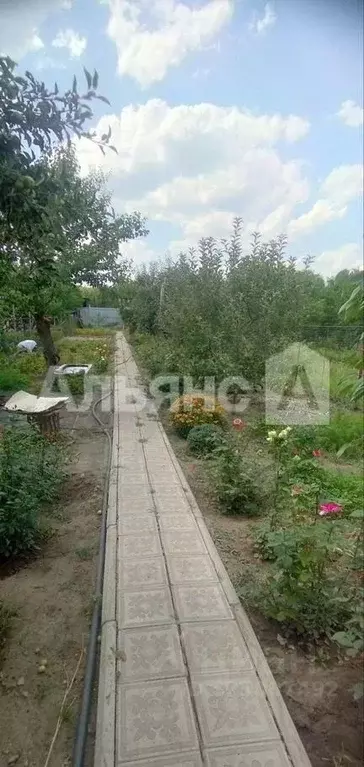 Дом в Ростовская область, Белокалитвинское городское поселение, ... - Фото 1