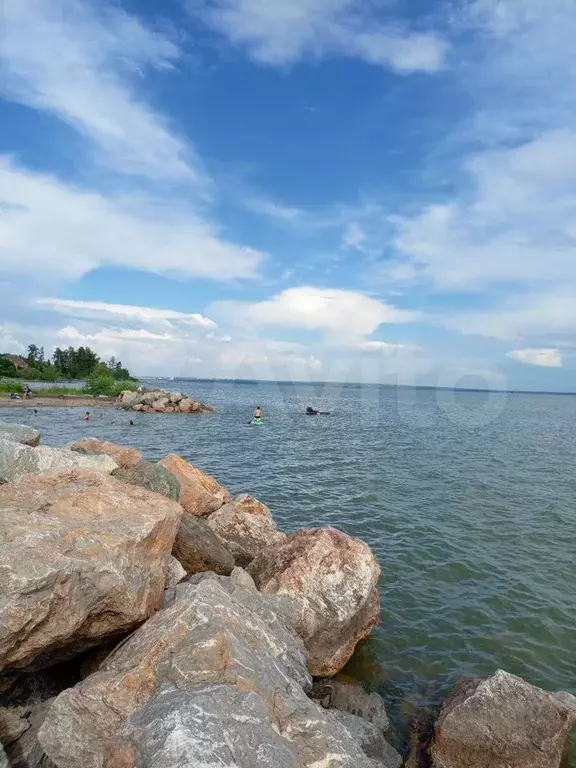 Участок 50 сот. (СНТ, ДНП) - Фото 0